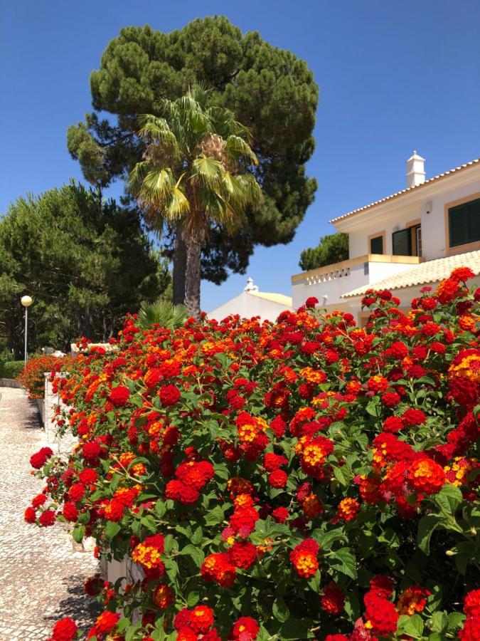 Algarve Albufeira, Quiet Apart With Pool At 10 Mn Walk From Praia Da Falesia Olhos de Agua  Exterior foto